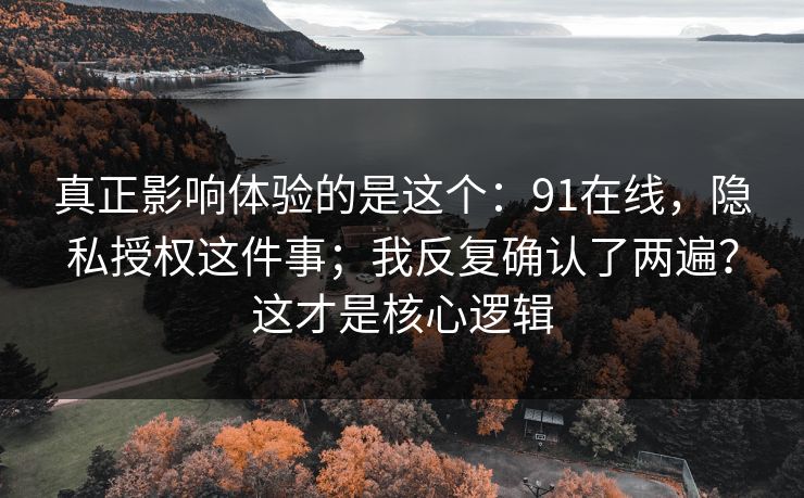 真正影响体验的是这个：91在线，隐私授权这件事；我反复确认了两遍？这才是核心逻辑